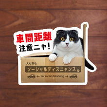 画像をギャラリービューアに読み込む, ねこの車間距離注意「車間距離注意ニャ！ソーシャルディスニャンス」 シールステッカー（超防水・防滴 UVカット 屋外使用可 /S268）
