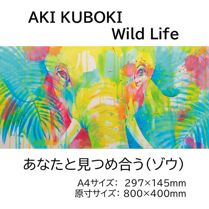 【AKI KUBOKI】 Wild Life オリジナルデザイン吸着ポスター